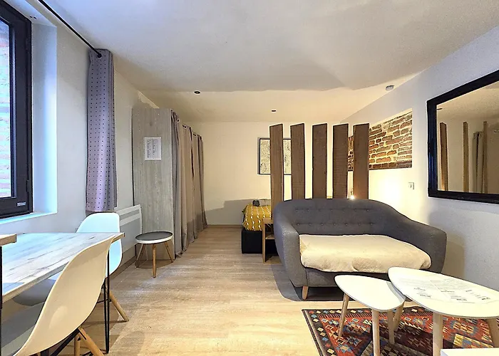 Sublime Cocon Pour Deux - 1 Lit Double - Hypercentre De Montauban - Proche Place Nationale